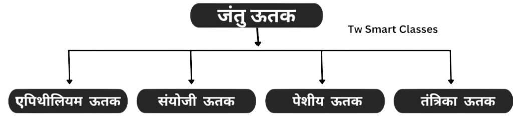 ऊतक class 9 science chapter 6